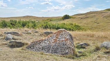 Graeme Revering presents on Survey Reconnaissance of Eagle Creek at the 2023 ASA/SAS Joint Annual Conference