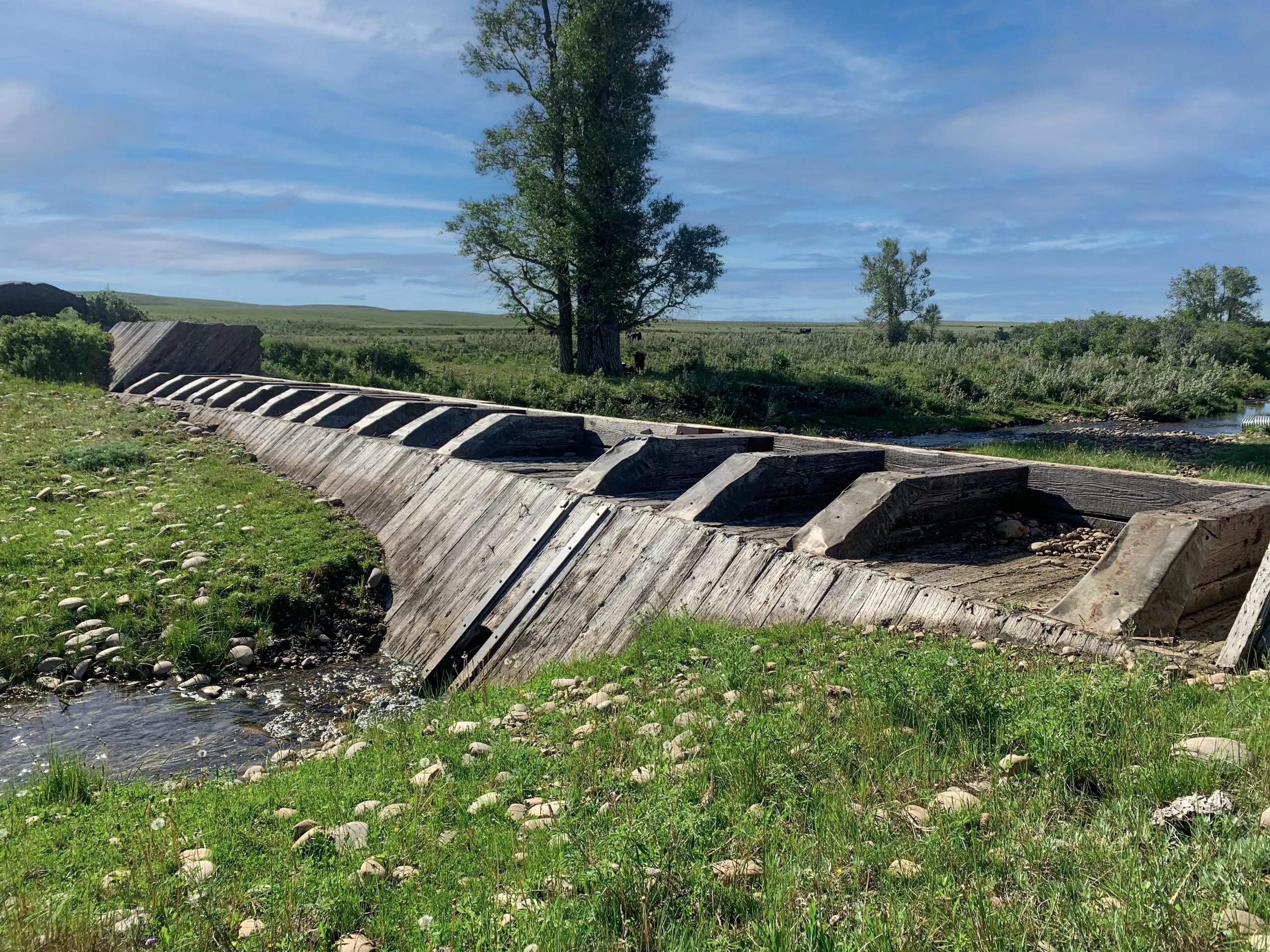 CWRA 2022-2023 Webinar Series Presentation