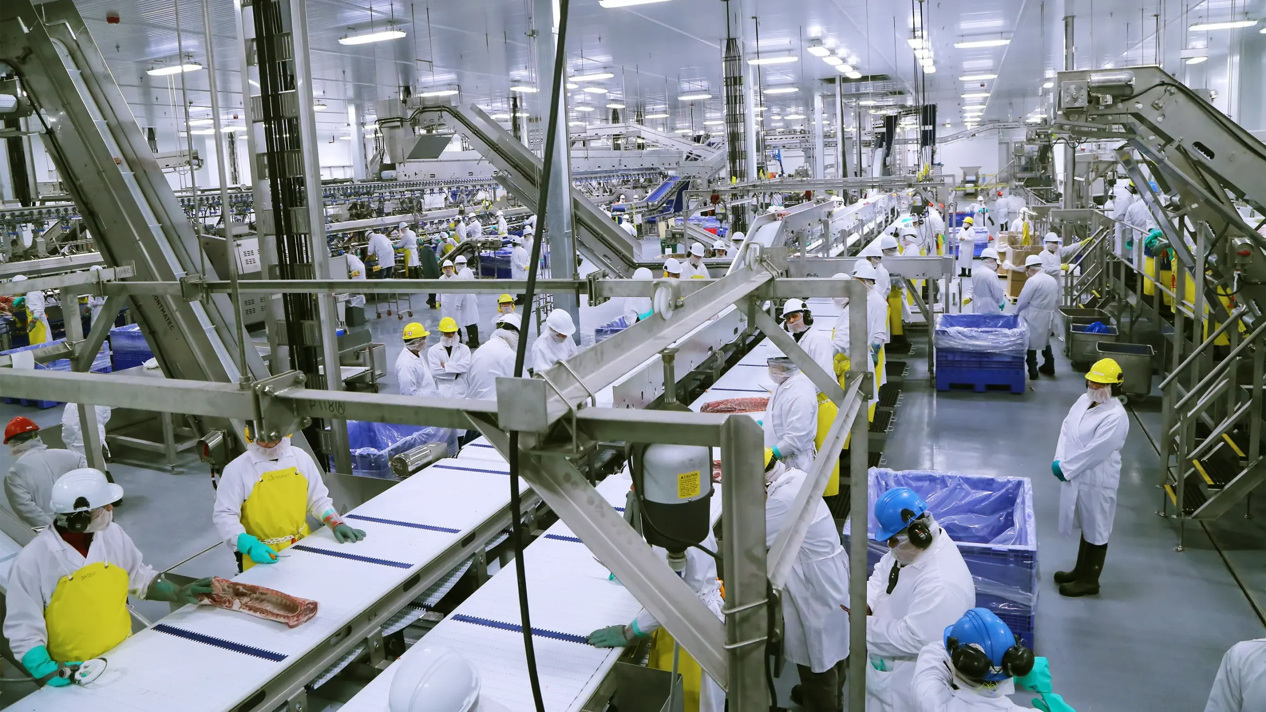 View of processing line inside plant