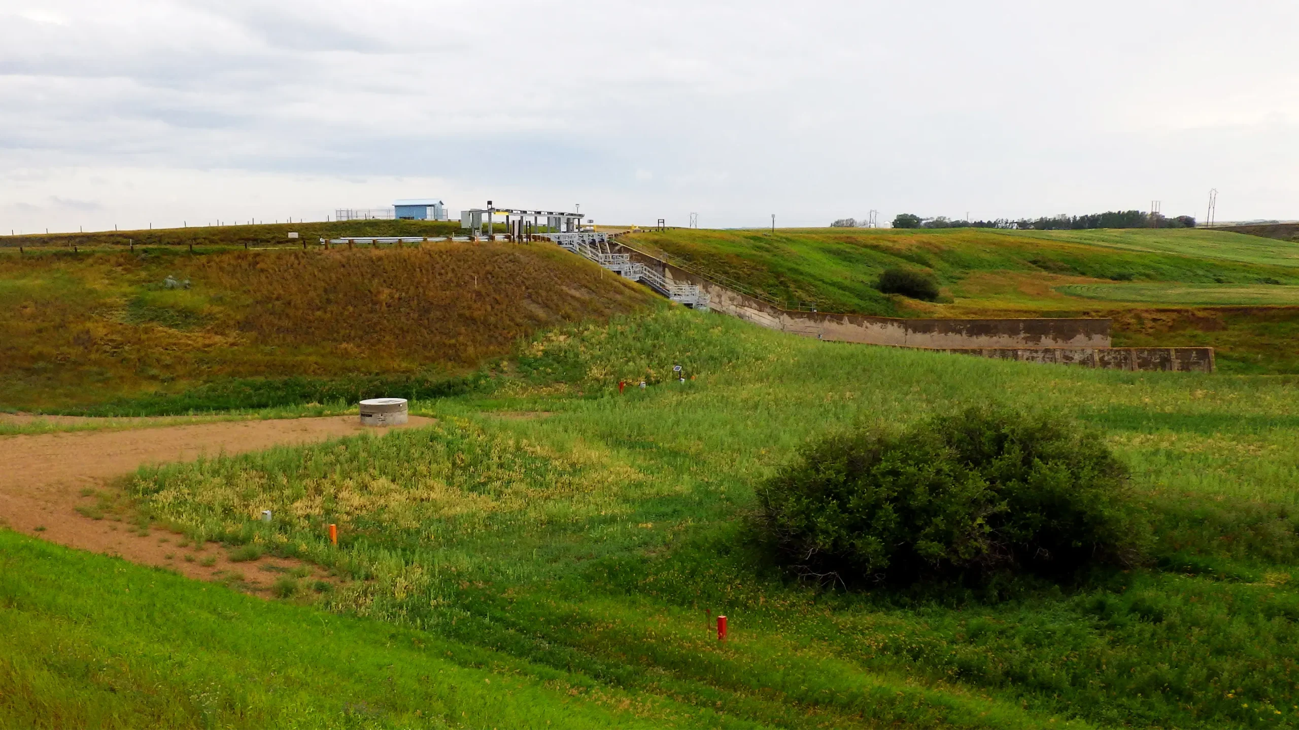 Revegetation construction area