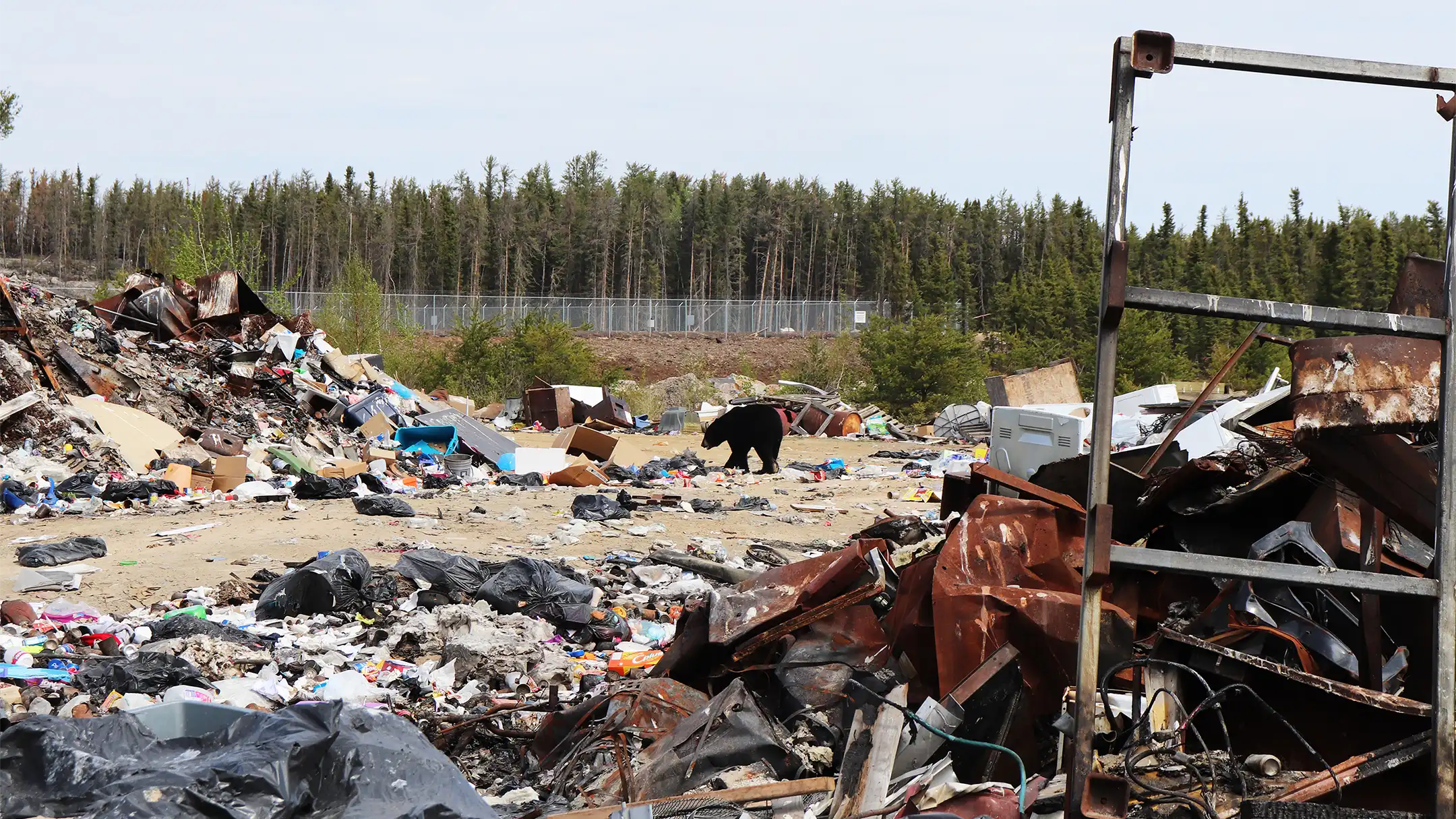 Surficial waste at the existing landfill site