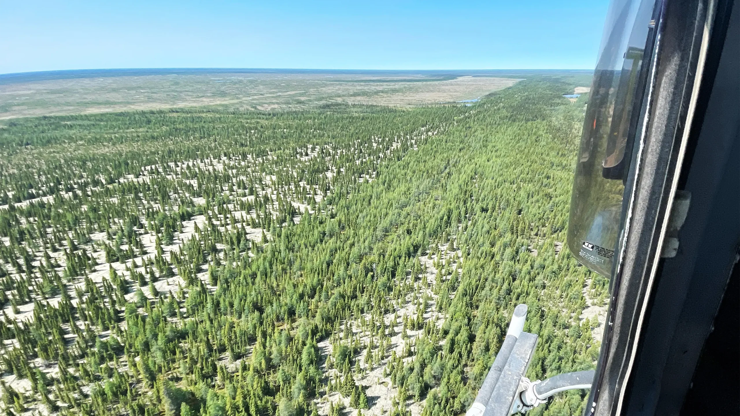 Ariel view of beach ridges with moderate tree cover