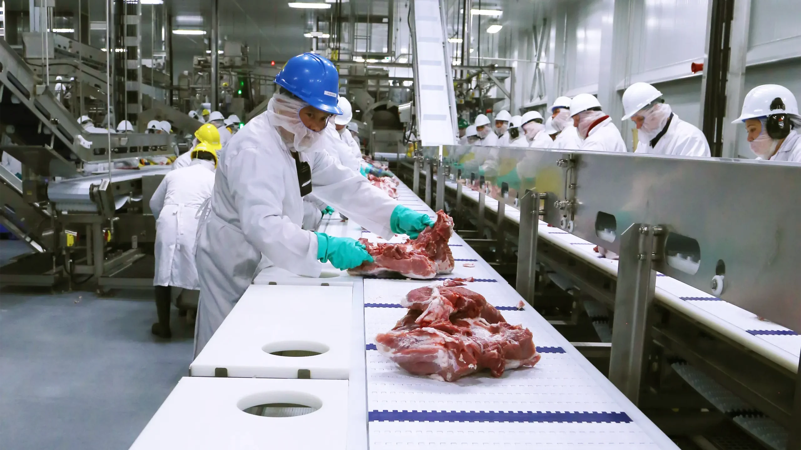 Pork being processed by worker