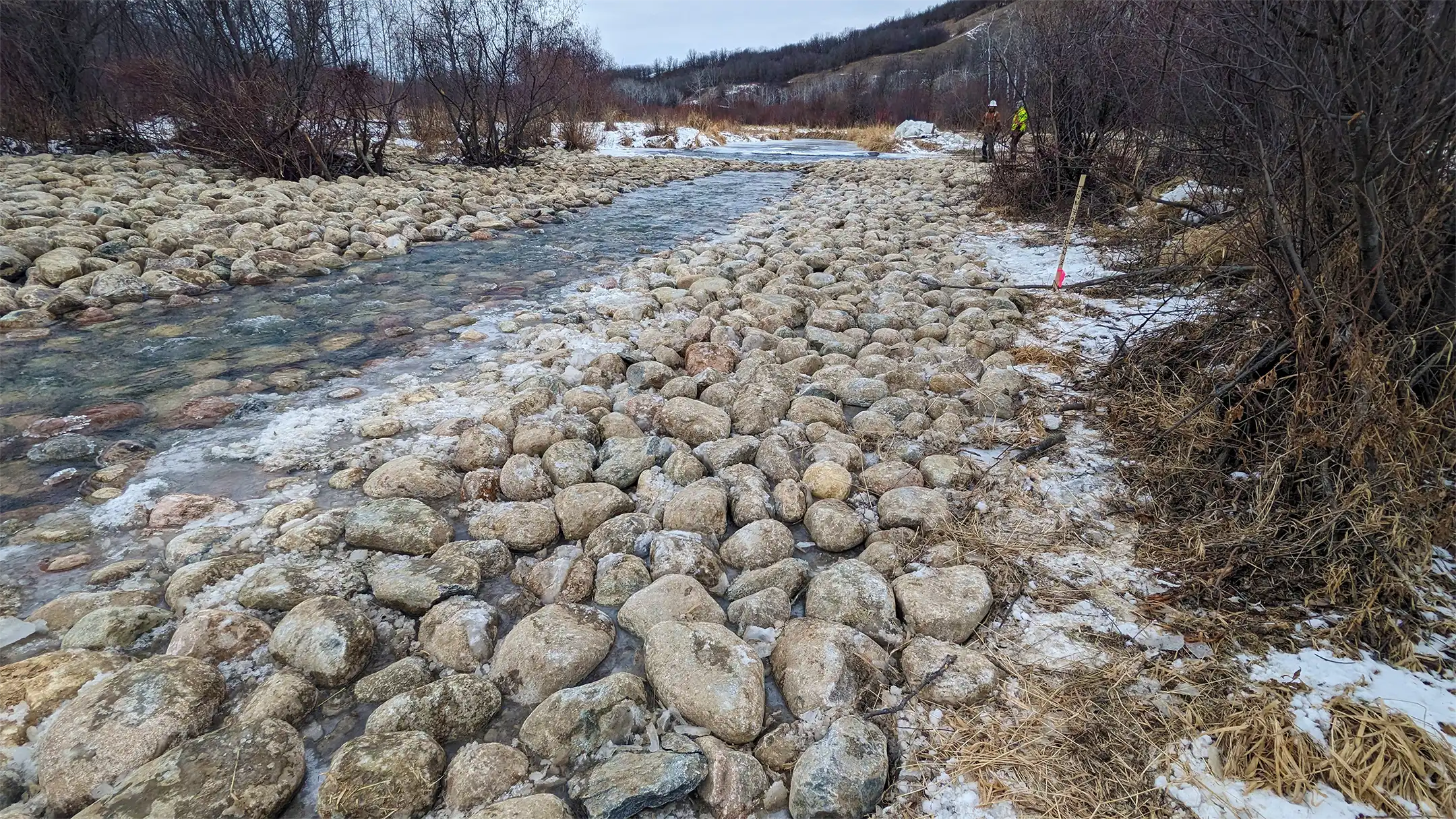 A downstream view of the added rock ramp