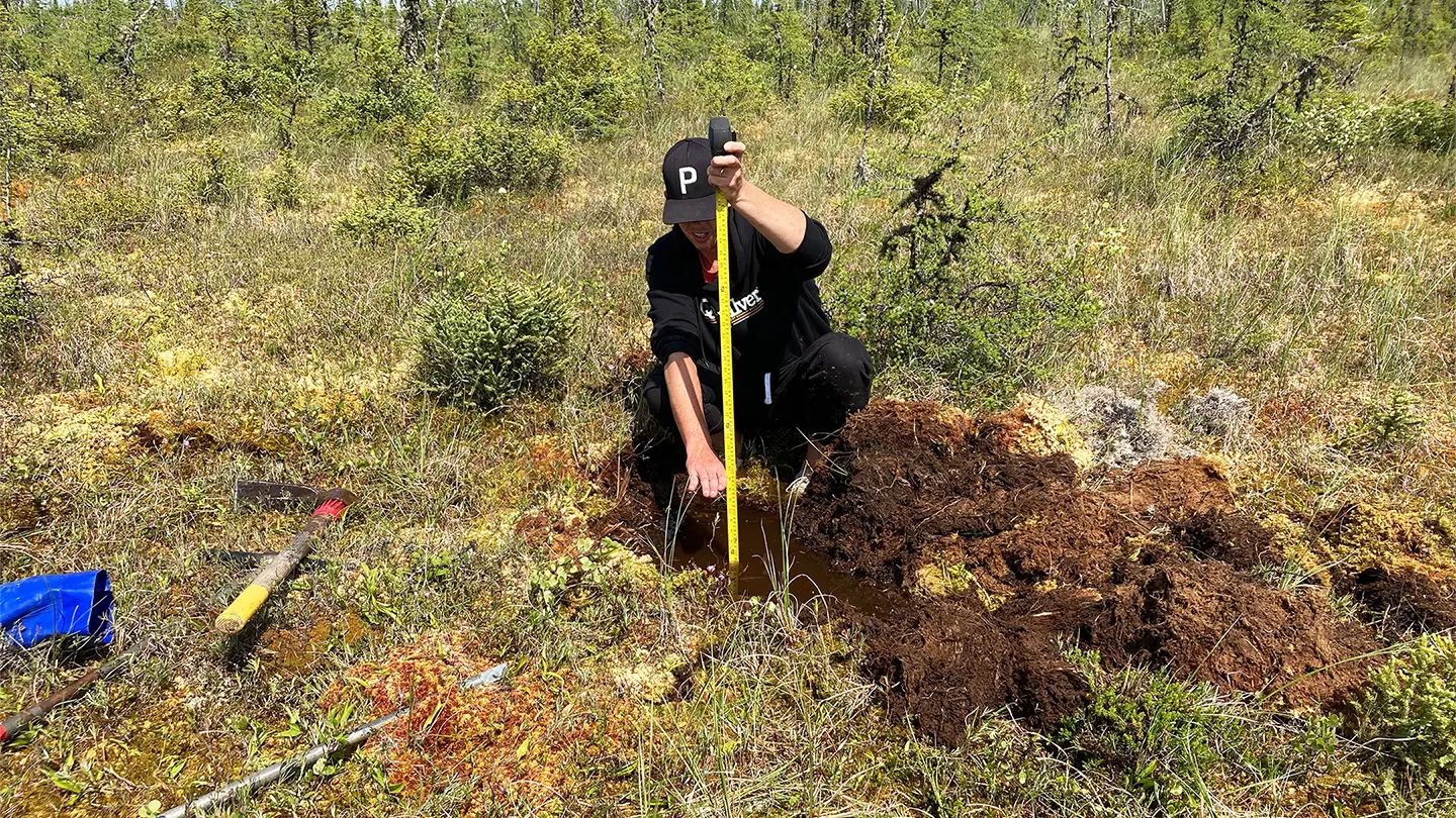 Person masuring depth to seasonal frost in Muskeg terrain