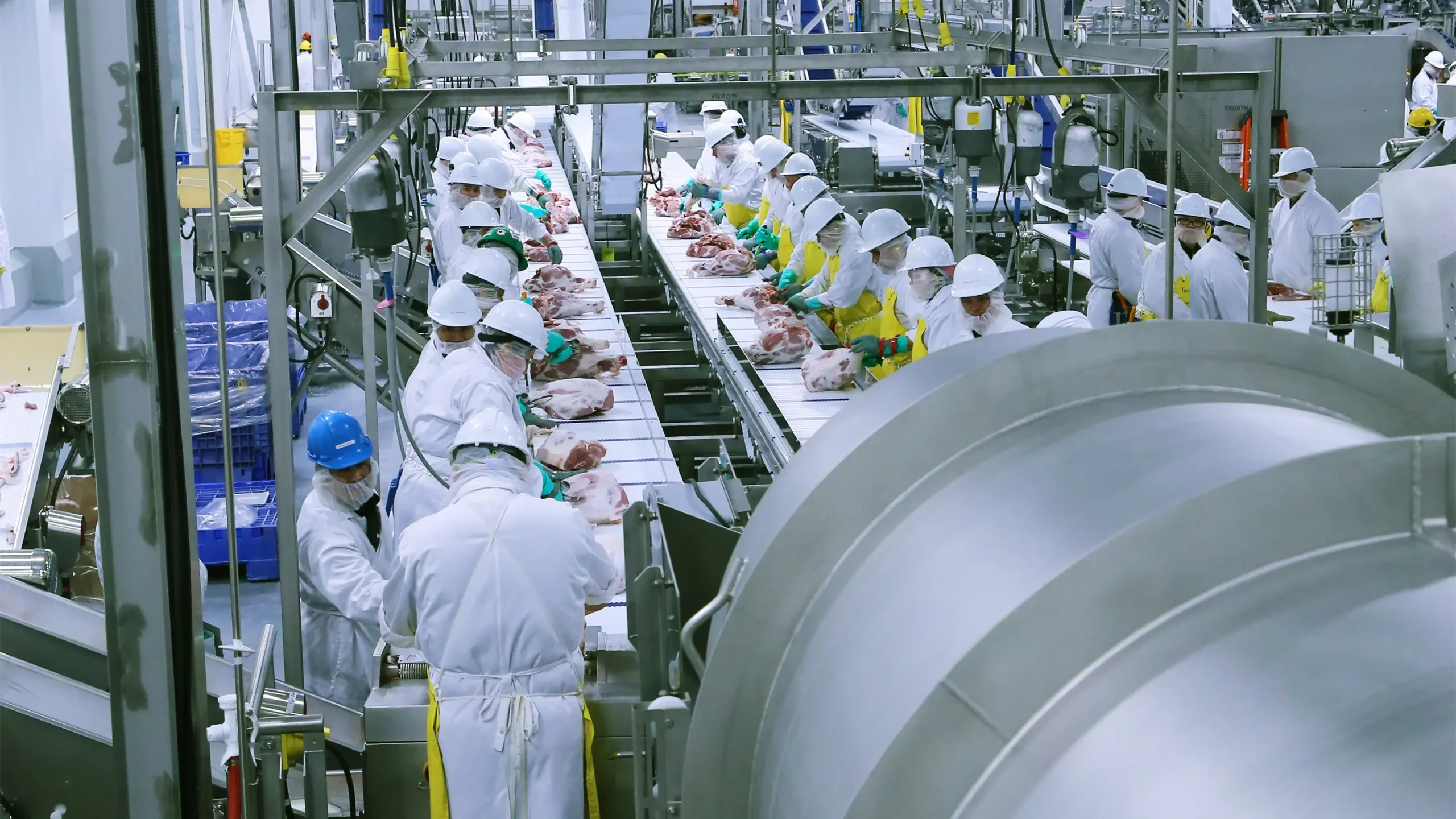 View of two pork processing lines and workers