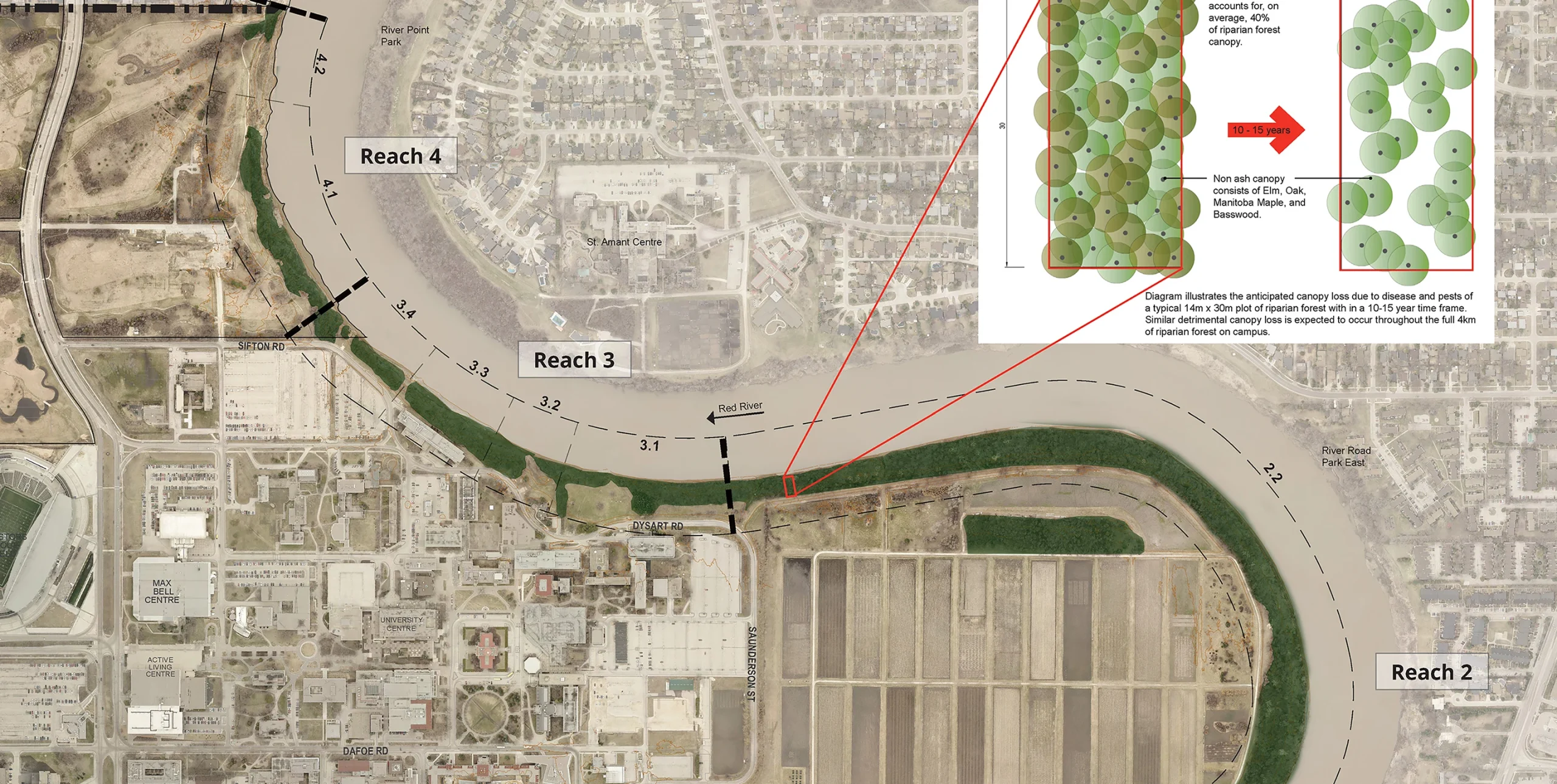 Map of the projected loss of forest canopy due to disease