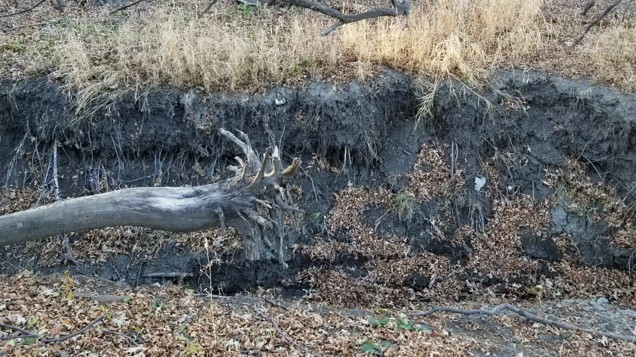 Eroded ravine before construction