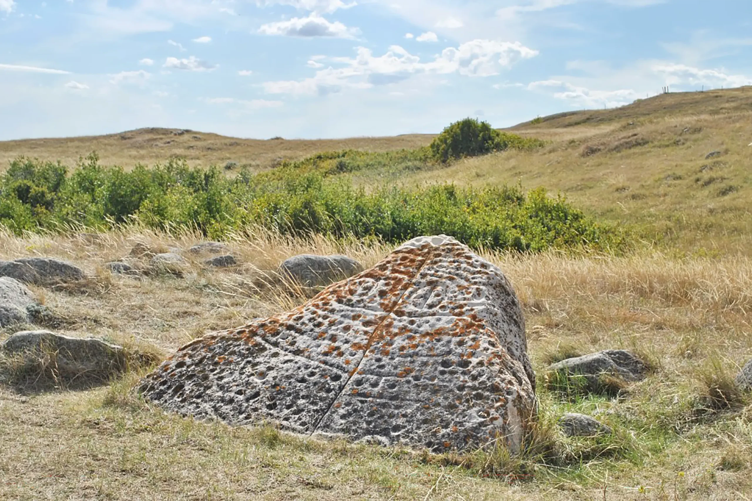 A landscape photo showcasing a large rock surrounded by tall grass.
