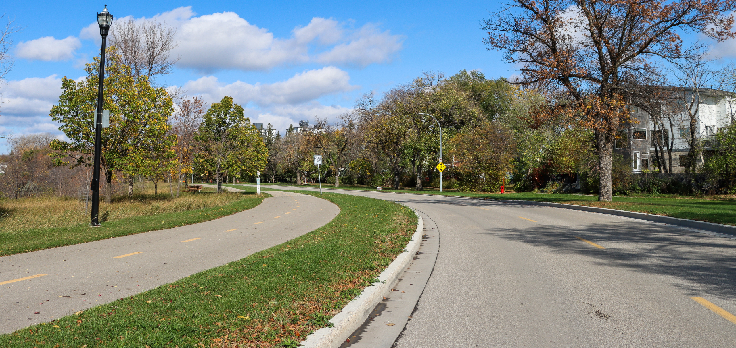 Curved suburban road beside a separate paved walking and cycling path, lined with grass, trees with fall colors, houses, and streetlights.