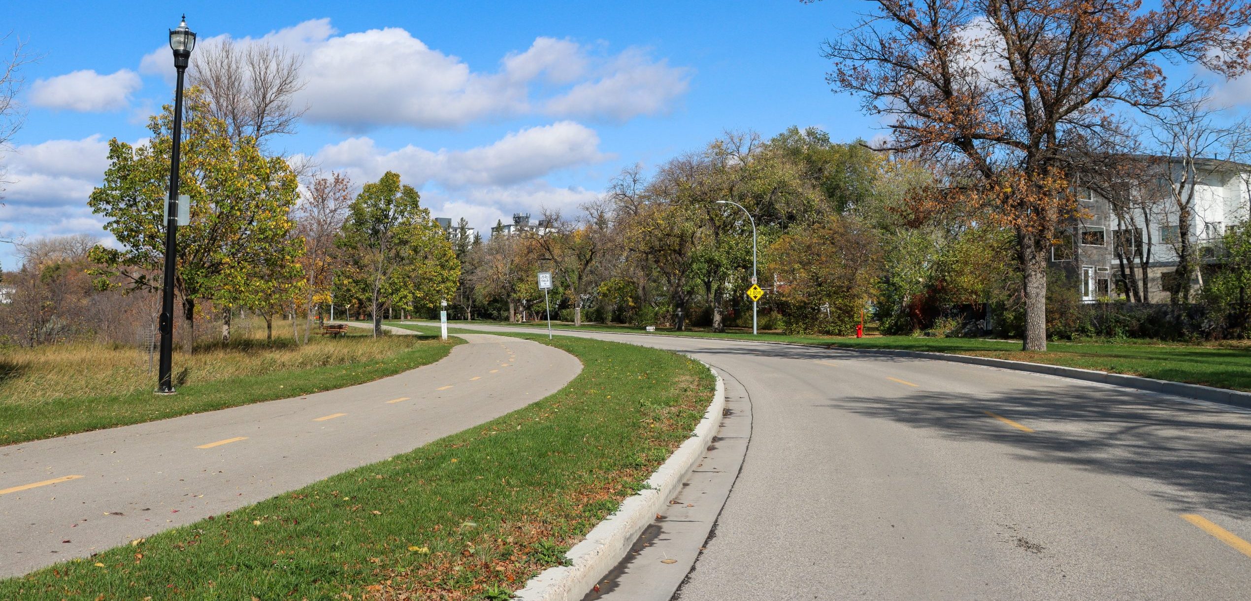 Curved suburban road beside a separate paved walking and cycling path, lined with grass, trees with fall colors, houses, and streetlights.